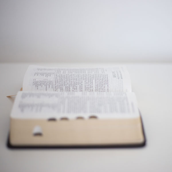 The Scripture Study Project