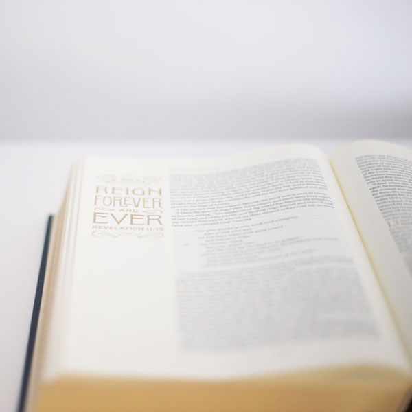The Scripture Study Project