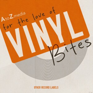 How to Price Vinyl Records? (For the Love of Vinyl) - Vinyl Bites