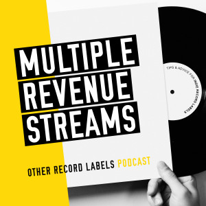 Multiple Revenue Streams