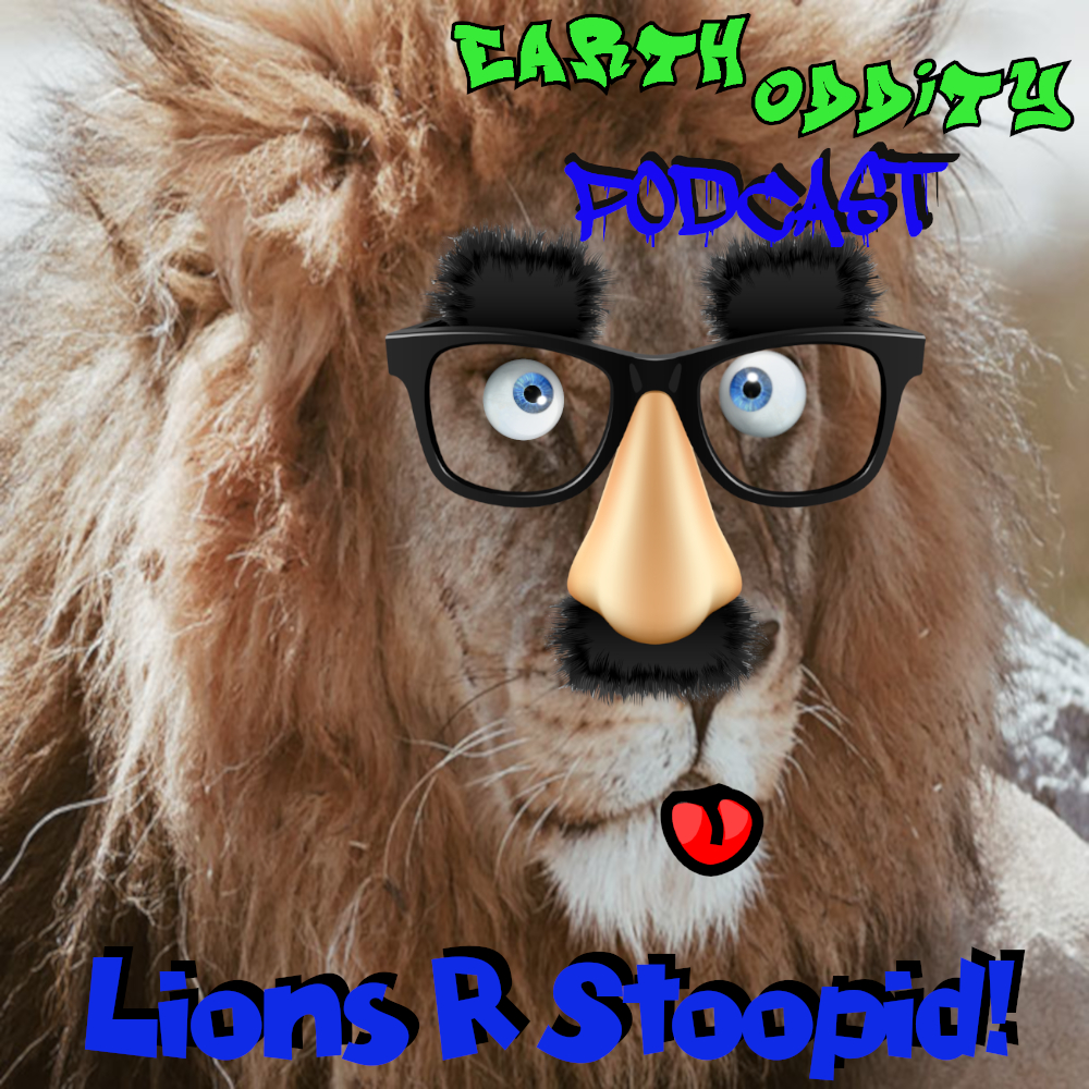 Earth Oddity 132: Lions R Stoopid!