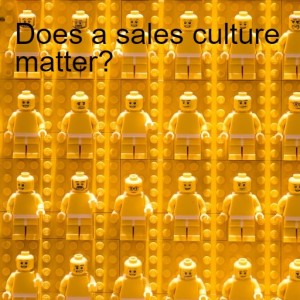 Does a sales culture matter?