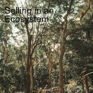 Selling in an Ecosystem