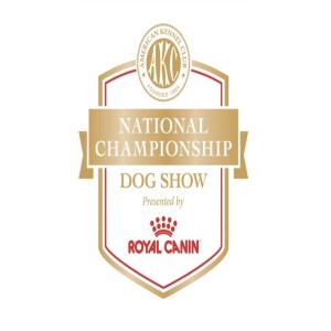 23rd American Kennel Club National Championship - December 28, 2023 - KRDO’s Morning News