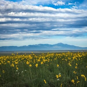 The Great Outdoors - March 20, 2024 - The Extra with Shannon Brinias