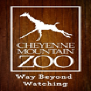 Cheyenne Mountain Zoo - December 19, 2022 - The Extra with Shannon Brinias