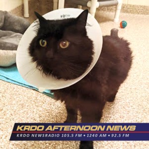 Pet of the Week - KRDO's Afternoon News with Ted Robertson - Kate Aviv and Clyde - April 7, 2020