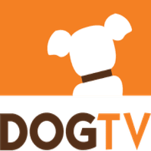 Beke Lubeach of DOG TV - June 10, 2021 - KRDOs Afternoon News