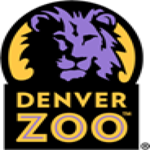 Bert Vescolani, Denver Zoo CEO - April 21, 2023 - KRDO’s Afternoon News