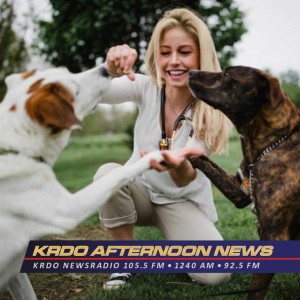 Chip Them to Keep them Safe - KRDO's Afternoon News with Ted Robertson - Dr. Emily Wechter - August 18, 2020