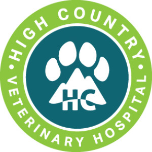 Dr. Kelsey Moses High Country Veterinarian Hospital - May 18, 2021 - KRDO's Afternoon News
