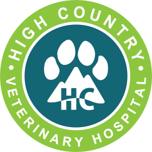 Dr. Becky Simmons - High Country Veterinary Hospital - April 21st, 2022 - KRDO’s Afternoon News