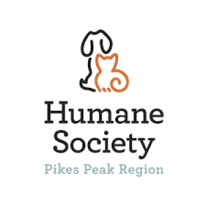 Cody Costra, Humane Society Pet of the Week - September 19, 2023 - KRDO’s Afternoon News