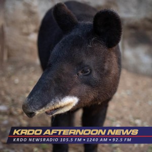 KRDO's Afternoon News with Ted Robertson - Cheyenne Mountain Zoo - December 2, 2019