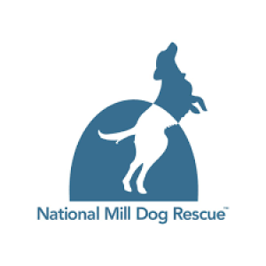 Jake Confer - National Mill Dog Rescue - March 23, 2023 - KRDO’s Morning News