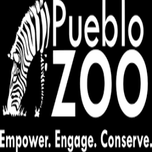 Sandy Morrison - Pueblo Zoo - October 24, 2022 - KRDO’s Afternoon News