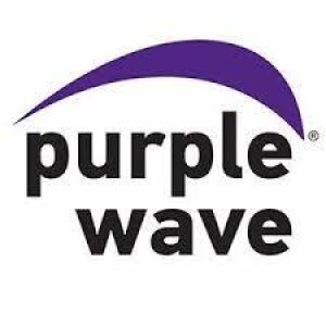 Purple Wave Auction - April 10, 2024 - KRDO's Morning News