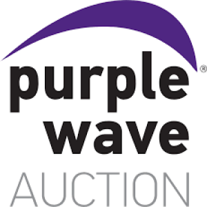 Casey Wolfe, Purple Wave Auctions - January 25, 2024 - KRDO's Afternoon Newsw