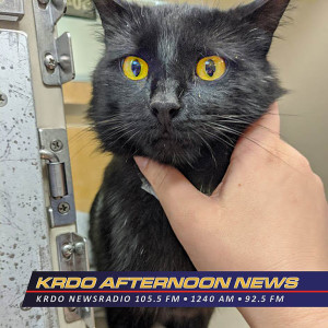 Meet Sam! - KRDO's Afternoon News with Ted Robertson - Pet of the Week - May 12, 2020