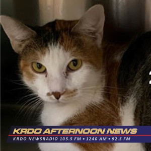 KRDO's Afternoon News with Ted Robertson - Pet of the Week - November 27, 2019