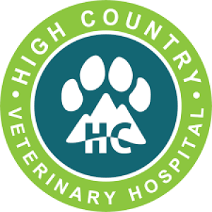 Dr.Sallee - High Country Vet - August 15, 2023 - KRDO’s Afternoon News