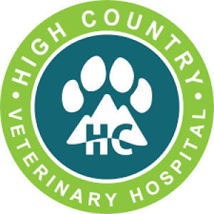 Dr. Casali - High Country Veterinary Hospital - November 15, 2022 - KRDO’s Afternoon News