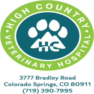 KRDO’s Afternoon News - January 19, 2021 - Dr. Emily Wechter High Country Animal Hospital