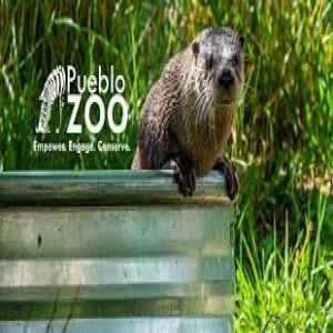 Sandy Morrison, Marketing & Communications Manager Pueblo Zoo - September 9, 2022 - KRDO Midday Edition