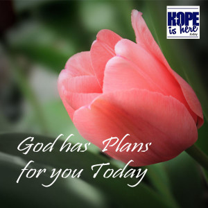 What is God's Plan for You Today?