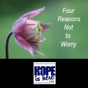 Four Reasons Not to Worry