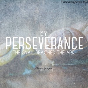 A Call to Persevere