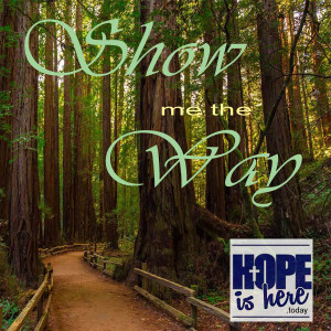 Show Me the Way