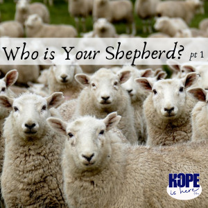 Who is Your Shepherd? (pt1)