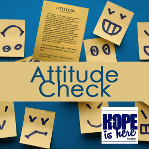 Attitude Check