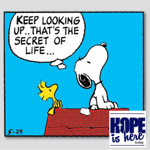 Keep Looking Up!