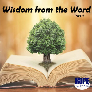 Wisdom from the Word (pt 1)