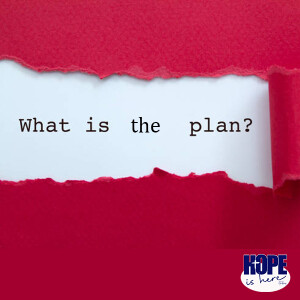 What is the Plan?