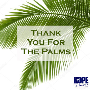 Thank You For The Palms
