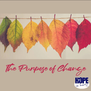 The Purpose of Change
