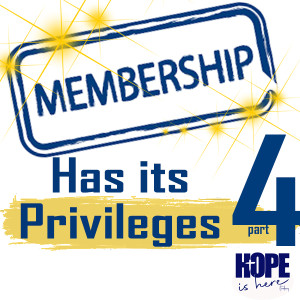 Membership Has Its Privileges (pt 4)