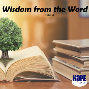 Wisdom from God‘s Word (pt 4)