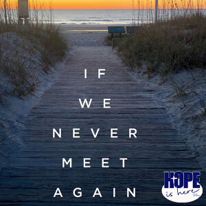 Matthew Cornett - If We Never Meet Again