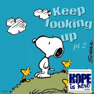 Keep Looking Up! (pt 2)