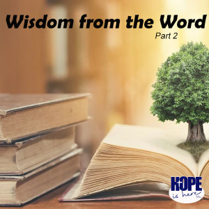 Wisdom from the Word (pt 2)