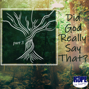 Did God Really Say That? (pt 3)
