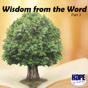 Wisdom from God‘s Word (pt 3)