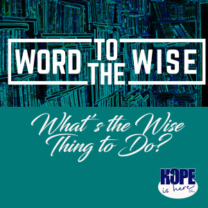 What’s the Wise Thing to Do? (pt 3)