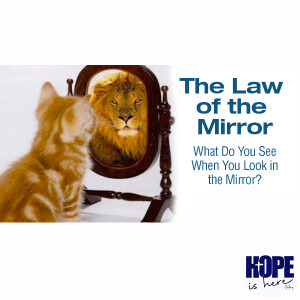 The Law of the Mirror - What Are You Worth?