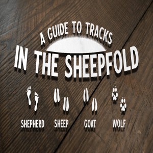 The Sheepfold: Sheep and Goats