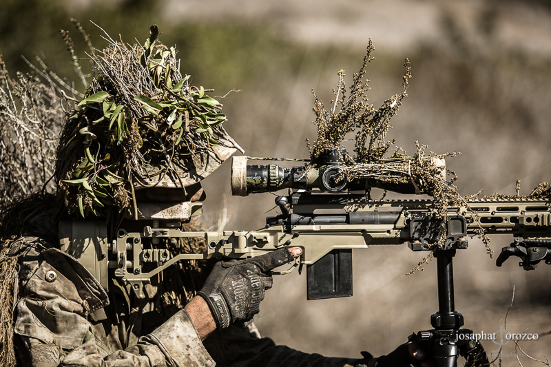 The Everyday Sniper Episode # 36 Weekend Update